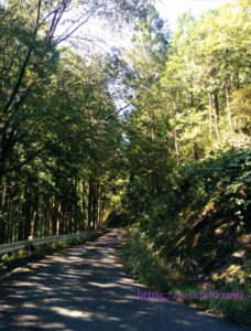 熊野中辺路へ