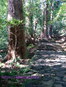 熊野古道、途中